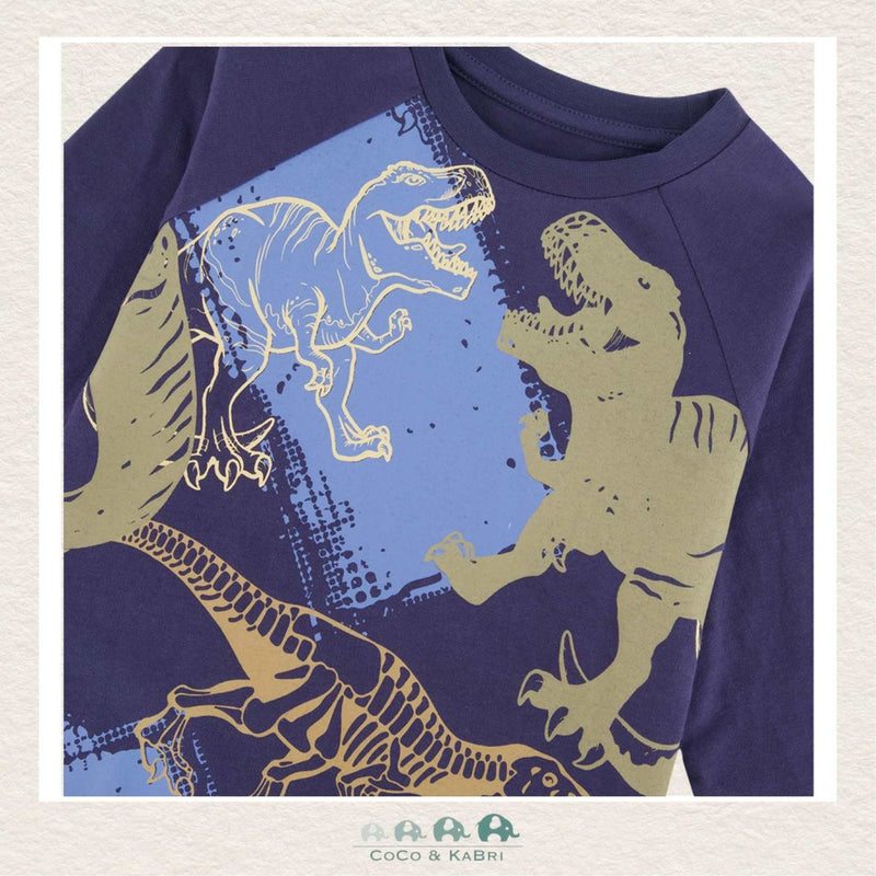 Deux Par Deux: Dinosaur Raglan Jersey T - Shirt, CoCo & KaBri Children's Boutique