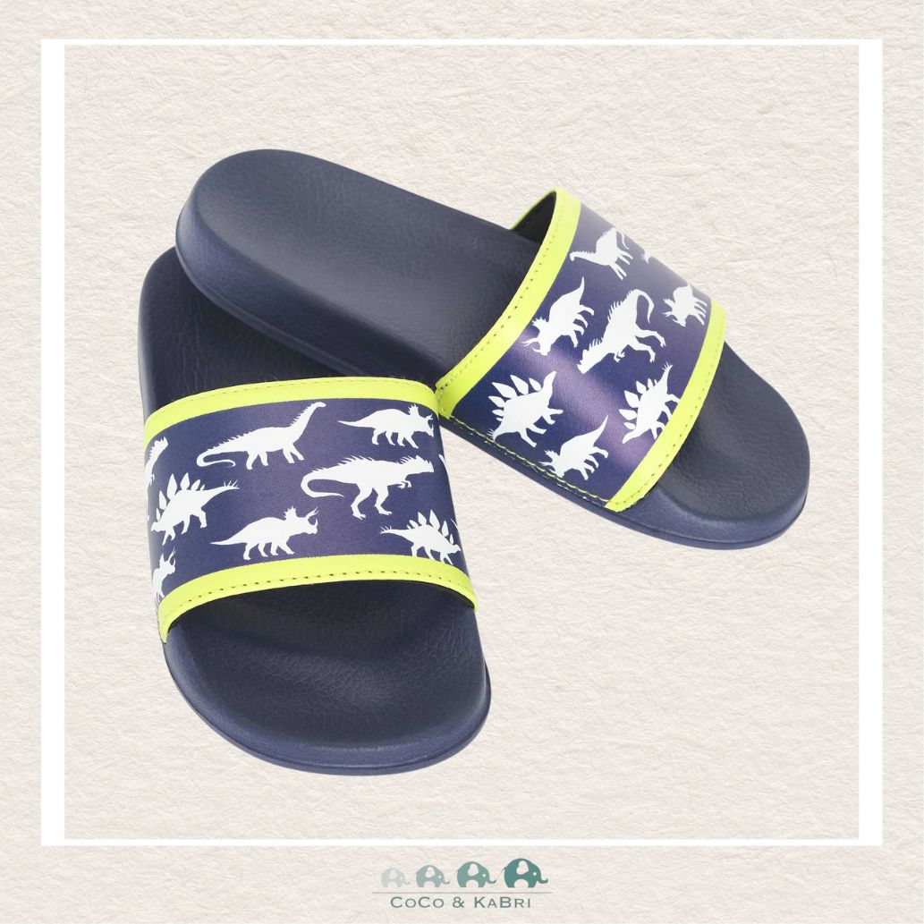 🇨🇦 Hatley: Boys Dino Slides (*6), CoCo & KaBri Children's Boutique