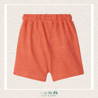 🇨🇦 Hatley: Boys Kanga Shorts, CoCo & KaBri Children's Boutique