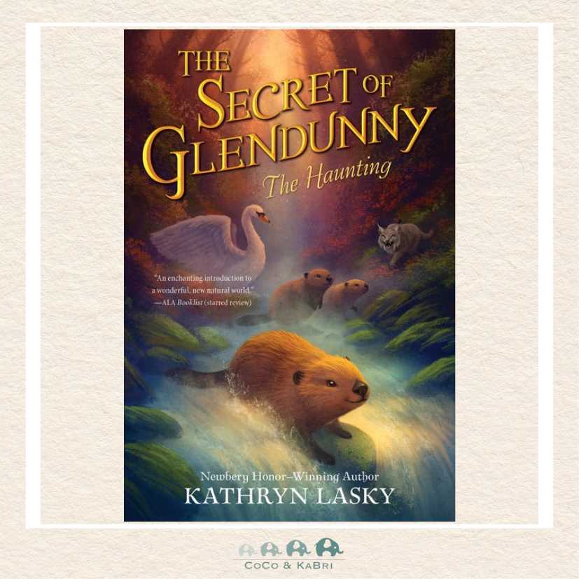 The Secret of Glendunny: The Haunting, CoCo & KaBri Children's Boutique