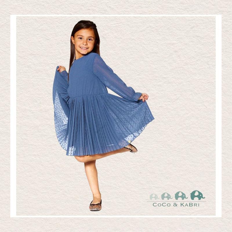 Deux Par Deux: Chiffon Swiss Dot Heart Dress With Pleated Skirt Old Blue, CoCo & KaBri Children's Boutique